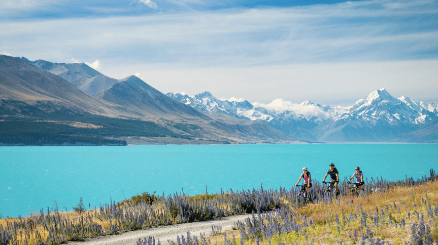 How Tourism New Zealand used WeChat to gain greater insights into its target audience